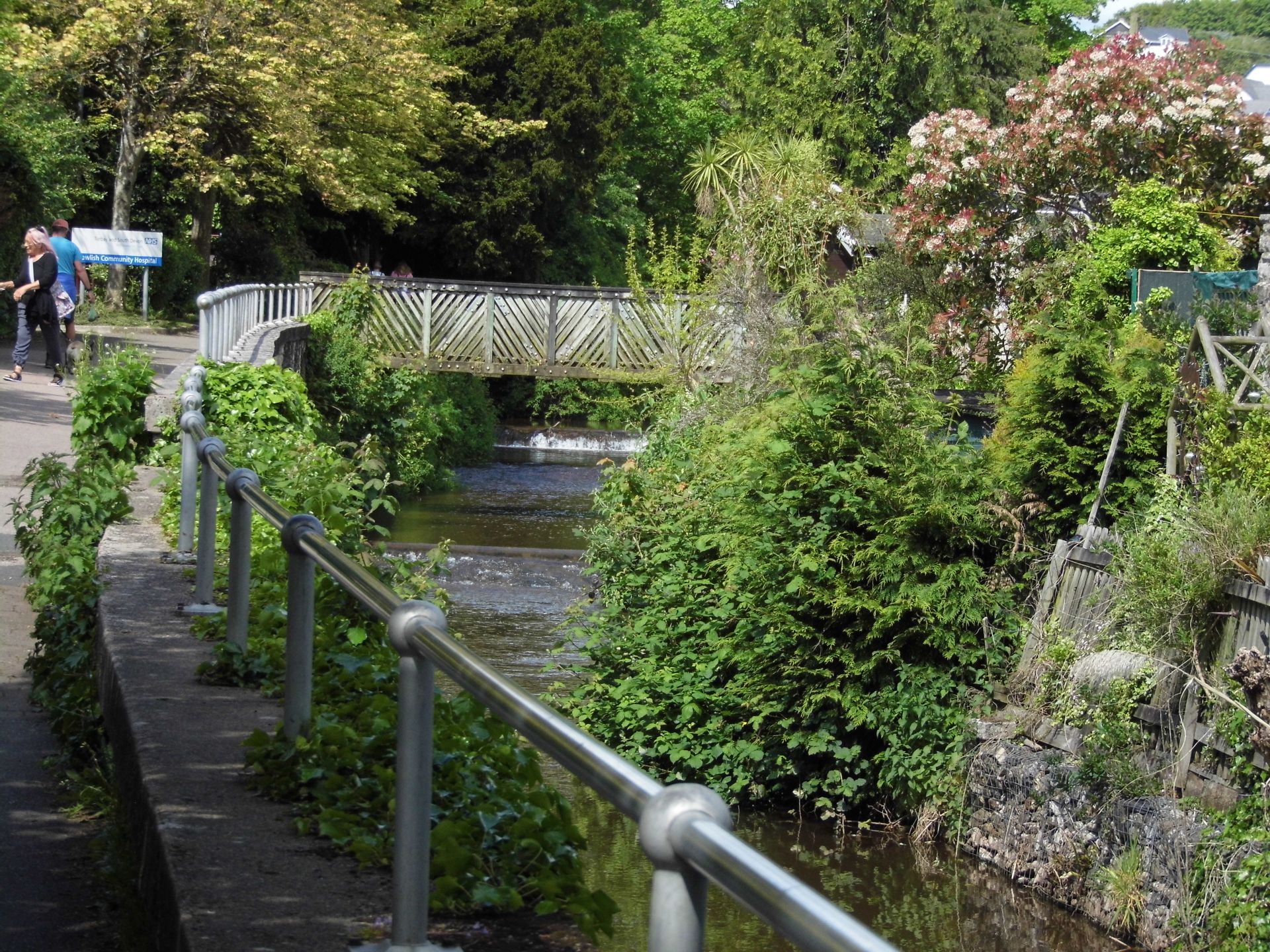 photo of Dawlish Pathway through the reserve